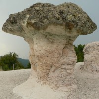 Каменни гъби (Бели пласт)
